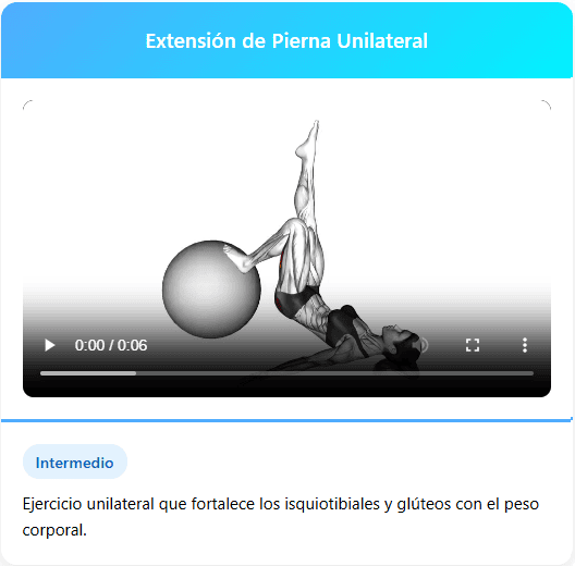 Extensión de Pierna Unilateral